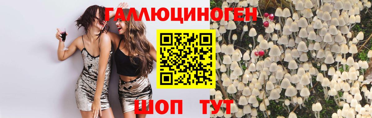 Галлюциногенные грибы Psilocybe  Вход с VPN  Майский 